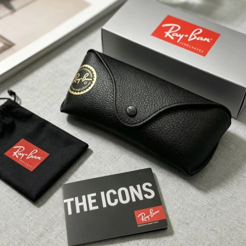 Ray-Ban Sonnenbrillenetui aus  – Luxury Bags Coach Bewertung und Preis