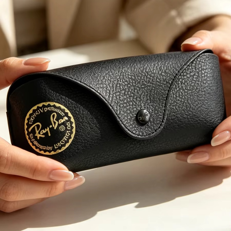 Ray-Ban Sonnenbrillenetui aus  – Luxury Bags Coach Bewertung und Preis