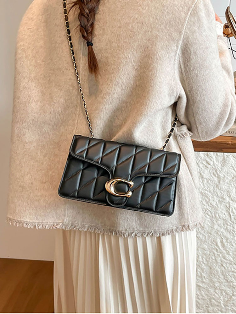 2026 High-End Mode Diamantmust – Luxury Bags Coach Bewertung und Preis