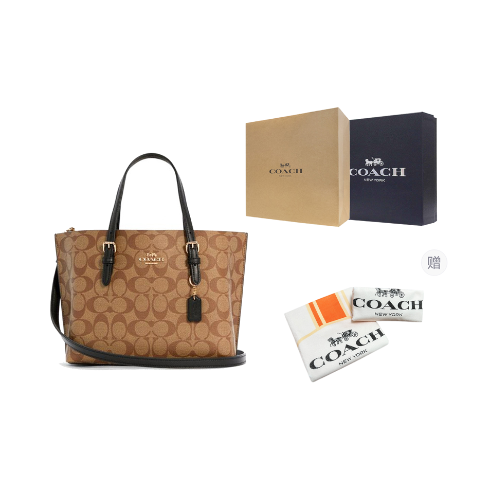 COACH Mollie Beschichtete Canv – Luxury Bags Coach Bewertung und Preis